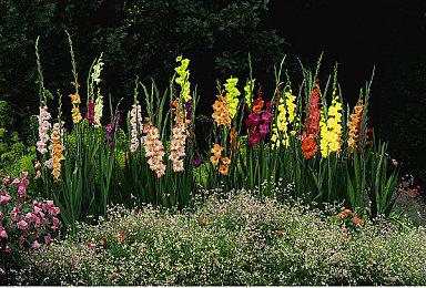 《DOTA2》迎霜节更新上线 7.35版本大更新到来